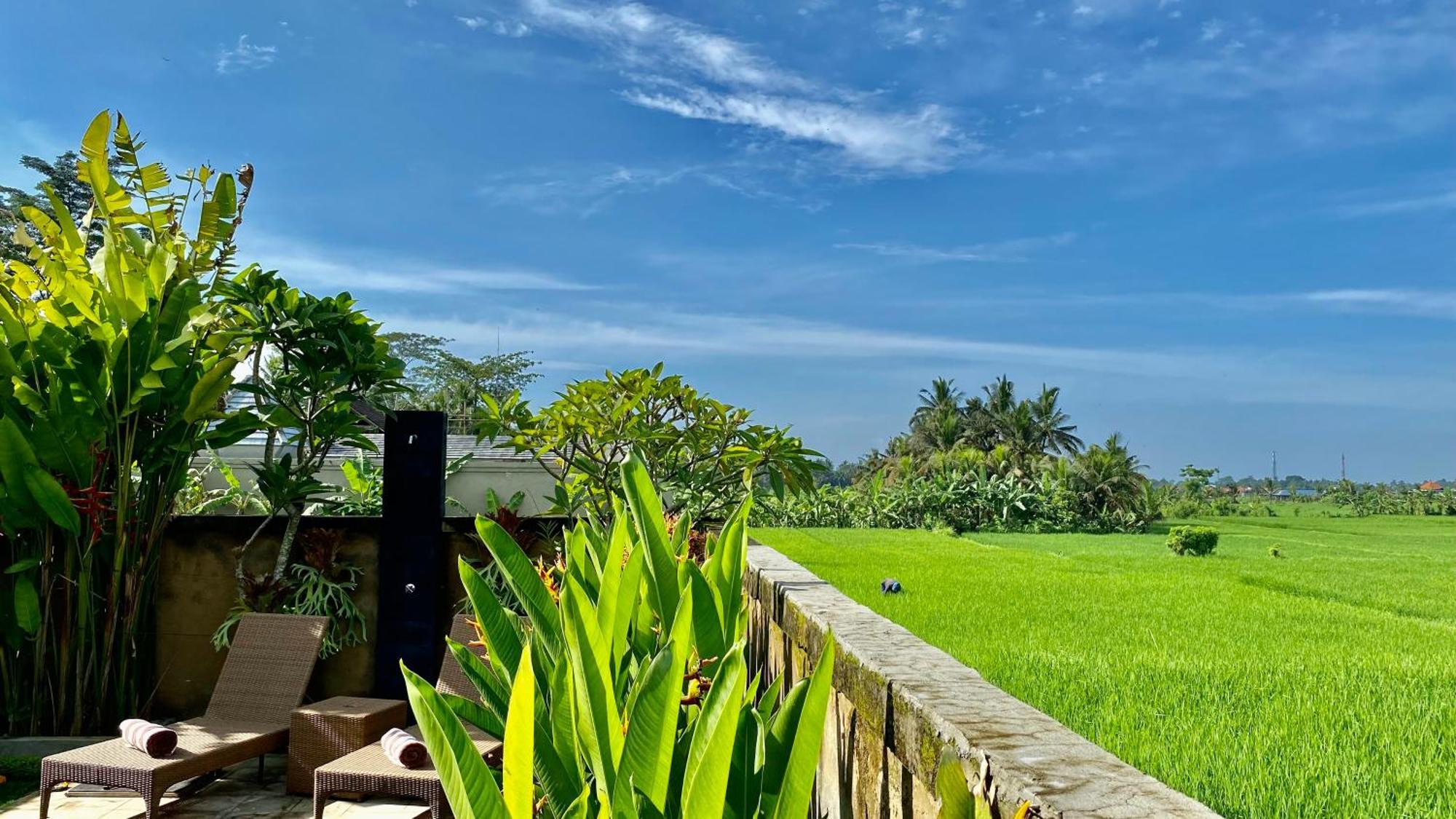 Villa Magica Ubud  Luaran gambar