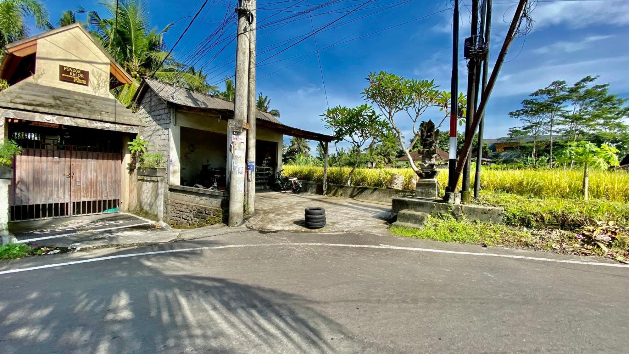 Villa Magica Ubud  Luaran gambar