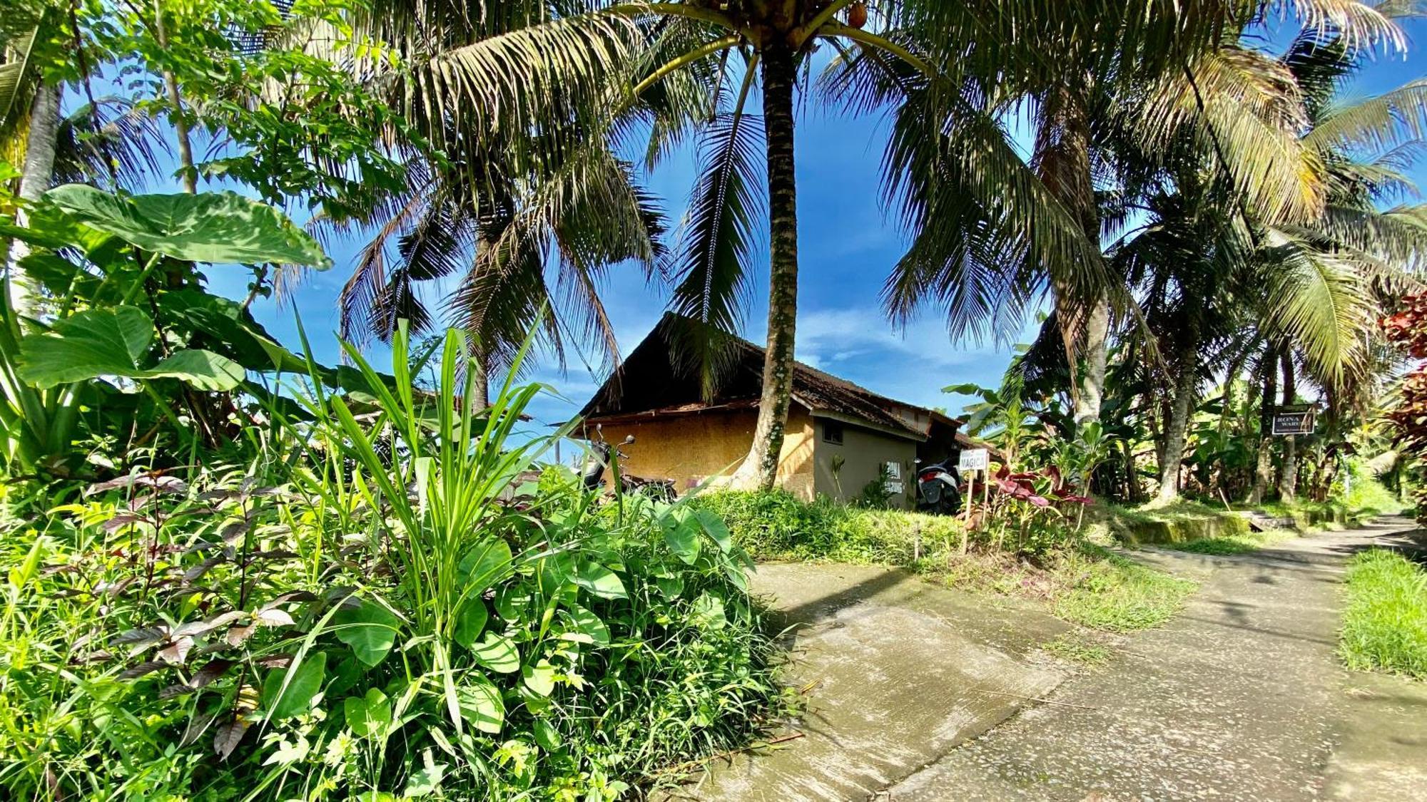 Villa Magica Ubud  Luaran gambar