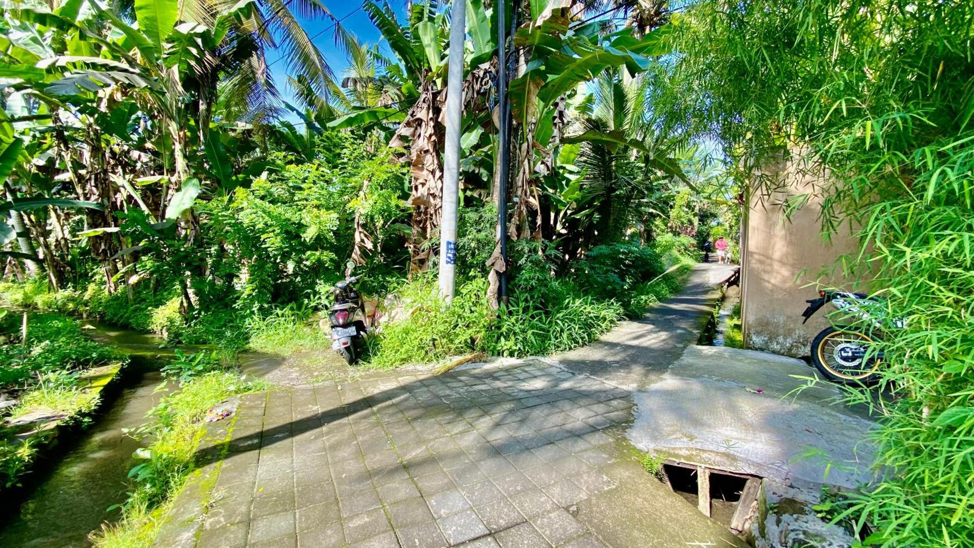 Villa Magica Ubud  Luaran gambar